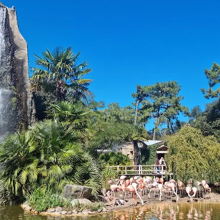 1 Bedroom Awesome Apartment In Chatelaillon-Plage *