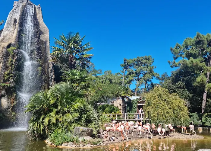 Awesome In With Wifi *